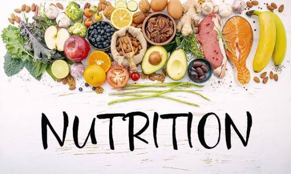 Nutrition and Food